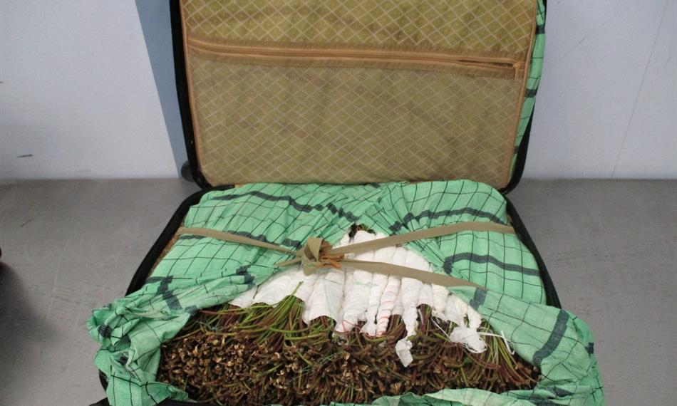 2017-11-23-736foto 3.JPG